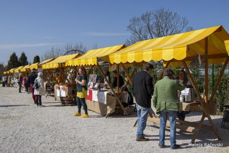 Festival zelišč (8)